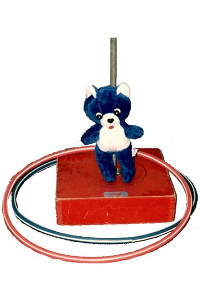 Teddy Bear Toss